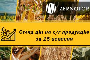 В Україні дорожчає соя — огляд цін за 15 вересня від Zernotorg.ua