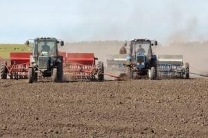 Херсонські аграрії змушені сіяти озимі у суху землю