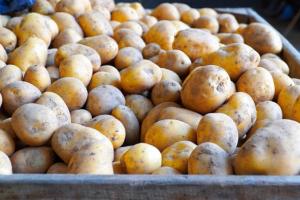 Україна планує заборонити імпорт російської картоплі