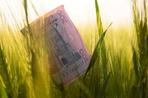 Нардепи підтримали законопроект про зниження для аграріїв ставки ПДВ з 20% до 14%