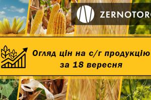 В портах України дорожчає соя — огляд цін за 18 вересня від Zernotorg.ua