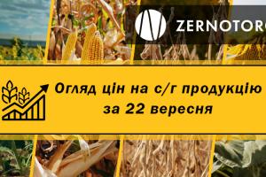 В Україні продовжує дорожчати зерно — огляд цін за 22 вересня від Zernotorg.ua