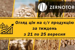 В портах дорожчають кукурудза, пшениця та соя — огляд за тиждень з 21 по 25 вересня від Zernotorg.ua