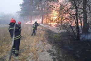 На Луганщині вогнем охоплено 10 тисяч гектарів