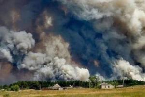 На Луганщині через пожежі може постраждати врожай кукурудзи