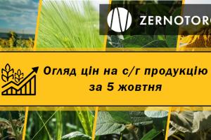 В Україні подорожчали зернові та олійні — огляд цін за 5 жовтня від Zernotorg.ua