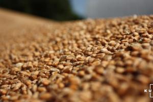 На елеваторах Держрезерву виявили нестачу зерна на понад 40 млн грн