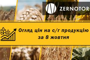 Ціна пшениці, кукурудзи та ячменю зросла — огляд за 8 жовтня від Zernotorg.ua