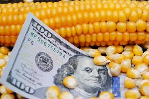 Цього тижня фермери отримають виплати по двох програмах — сільськогосподарська техніка та компенсація вартості насіння