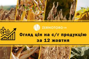 Пшениця продовжує оновлювати цінові максимуми — огляд цін за 12 жовтня від Zernotorg.ua