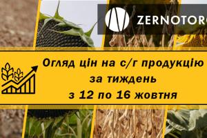 В Україні продовжують дорожчати зернові та олійні — огляд за тиждень з 12 по 16 жовтня від Zernotorg.ua