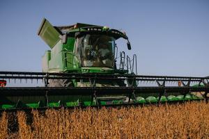 Українським аграріям залишилося зібрати 17% площ під зерновими