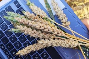 Недотримання зобов’язань за форвардами призведе до цінового хаосу на ринку зерна — ЄБА