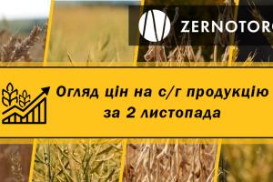 В Україні почала дешевшати пшениця — огляд цін за 2 листопада від Zernotorg.ua