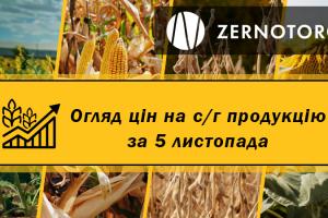 Як змінились ціни на зерно — огляд за 5 листопада від Zernotorg.ua