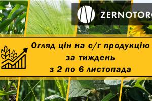 Зміни цін на зернові та олійні в Україні — огляд за тиждень з 2 по 6 листопада від Zernotorg.ua