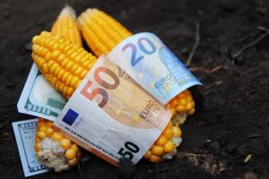 Аналітики розповіли, як змінились світові ціни на зерно після звіту USDA 
