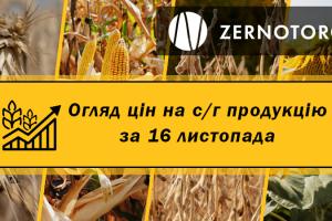 Як змінилися ціни на зерно — огляд за 16 листопада від Zernotorg.ua