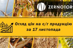 В портах України дешевшає кукурудза — огляд цін за 17 листопада від Zernotorg.ua