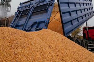Аграрії Дніпропетровщини 8 років поспіль збирають понад 3 млн тонн зерна