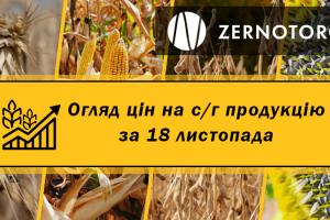 Ціна пшениці перевищила позначку $240/т — огляд за 18 листопада від Zernotorg.ua