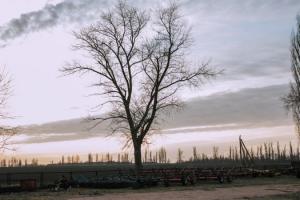 Взимку в Україні збережеться посуха — кліматологи
