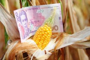 Тенденція зростання цін на фуражне зерно зберігатиметься — прогноз