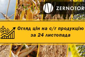 В портах дешевшає соя — огляд цін за 24 листопада від Zernotorg.ua