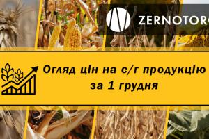 В Україні дешевшає соя — огляд цін за 1 грудня від Zernotorg.ua