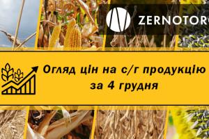 В портах дорожчає кукурудза — огляд цін за 4 грудня від Zernotorg.ua