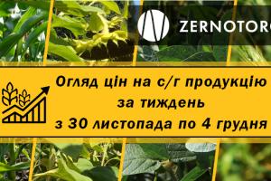 Як змінились ціни на зернові та олійні — огляд за тиждень з 30 листопада по 4 грудня від Zernotorg.ua