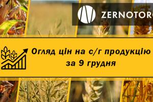 Ціни на зернові та олійні — огляд за 9 грудня від Zernotorg.ua