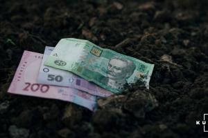 Від земельної детінізації Україна може отримати понад $1 млрд — Лещенко