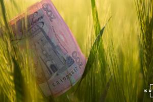 В Україні можуть скасувати податкові послаблення для аграріїв