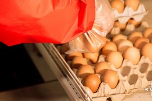 Україна почала експортувати яйця до Албанії