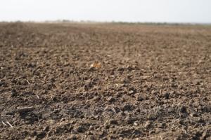 В Україні зросли показники вологості ґрунту