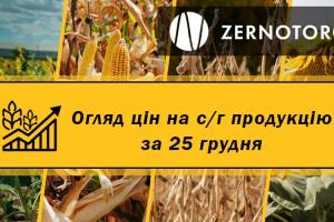 Ціни на зернові та олійні — огляд за 25 грудня від Zernotorg.ua
