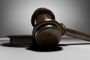 В суді розглядається справа щодо банкрутства ТД Насіння