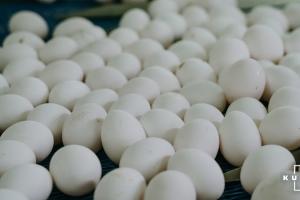 В Україні триває подорожчання яєць