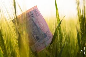 Новостворені фермерські господарства Сумщини отримали 1,5 млн грн дотацій