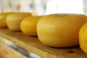 Україна збільшила імпорт сиру у понад 2 рази