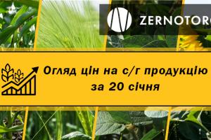 В Україні різко зросли ціни на зерно — огляд за 20 січня від Zernotorg.ua