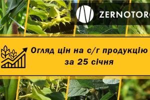 Ціни на с/г продукцію — огляд за 25 січня від Zernotorg.ua