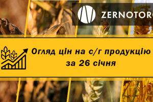 Ціни на зерно продовжують знижуватись — огляд за 26 січня від Zernotorg.ua