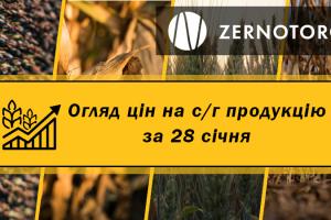 Ціни на зернові та олійні — огляд за 28 січня від Zernotorg.ua