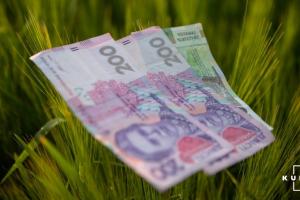 Середня зарплата в агросекторі у грудні зросла до 10 841 грн