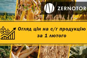 Ціни на зернові та олійні — огляд за 1 лютого від Zernotorg.ua