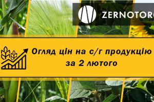Кукурудза дорожчає — огляд цін на с/г продукцію за 2 лютого від Zernotorg.ua