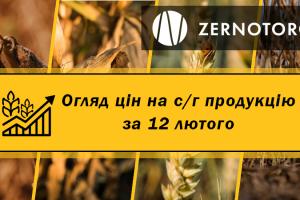 Зернові дешевшають — огляд цін на с/г продукцію за 12 лютого від Zernotorg.ua