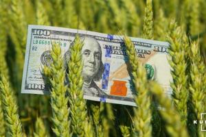 Експерт спрогнозував збереження високих світових цін на зерно